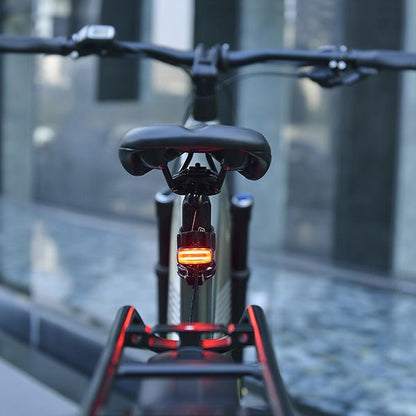 E-bike rear light — 2 W, 6–36 V